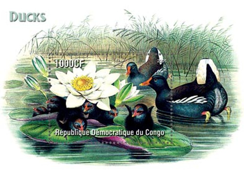 Ducks On Stamps 110-12