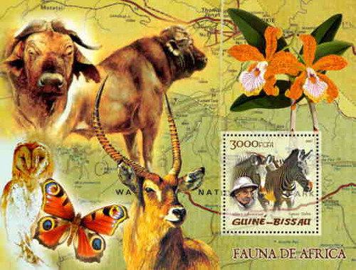 Guinea-Bissau - African Animals On Stamps GB5111b