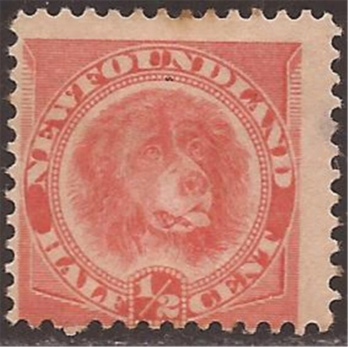 Newfoundland - 1896 1/2c Newfoundland Dog - Orange Red - Fine MH #57