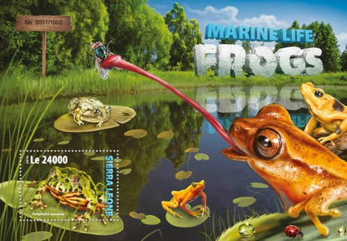 Sierra Leone - 2016 Marine Life Frogs - Souvenir Sheet - SRL16307b