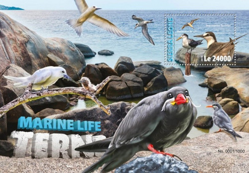 Sierra Leone - 2016 Terns on Stamps - Stamp Souvenir Sheet - SRL16318b Sierra Leone - 2016 Terns on Stamps - Stamp Souvenir Sheet - SRL16318b