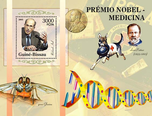 Guinea-Bissau - Medicine Nobel Prize Stamp Souvenir Sheet  GB5302b