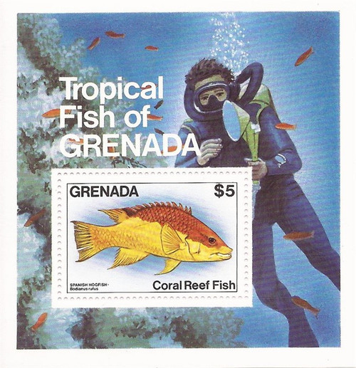 Grenada 1984 Tropical Fish - Souvenir Sheet - Scott #1215