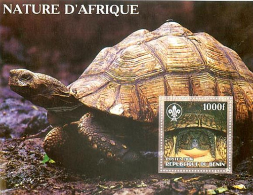 Turtles from Africa on Stamps - Mint Stamp Souvenir Sheet 122-10