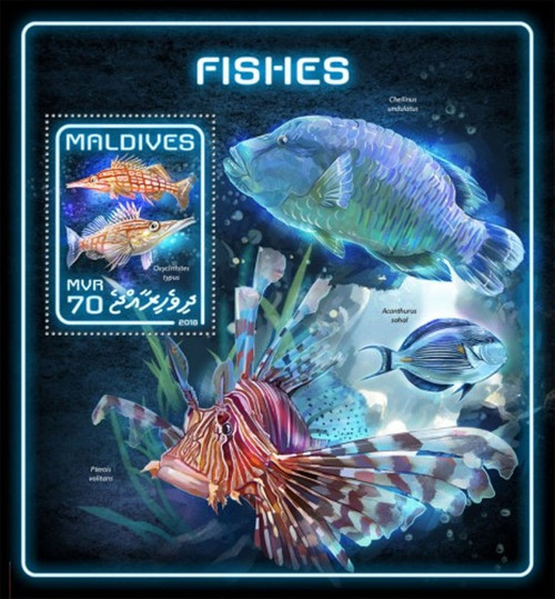 Maldives - 2018 Fish on Stamps - Stamp Souvenir Sheet - MLD18512b