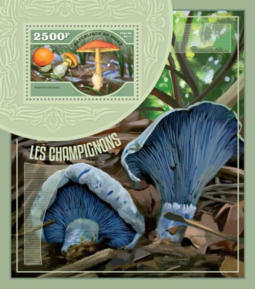 Withdrew 03-15-19-Niger - 2014 Mushrooms - Stamp Souvenir Sheet -   - 14A-522