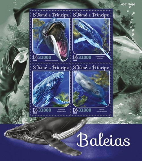 St Thomas - 2016 Whales on Stamps - 4 Stamp Sheet - ST16204a
