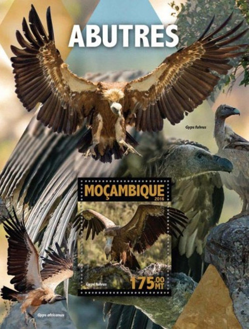 Mozambique - 2016 Vultures - Stamp Souvenir Sheet - MOZ16127b