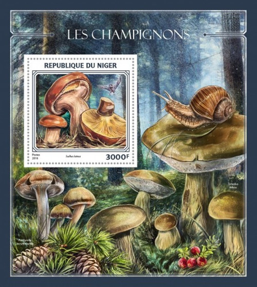 Niger - 2016 Mushrooms on Stamps - Stamp Souvenir Sheet - NIG16416b