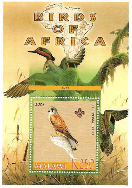 Birds of Africa - Falcon on Stamps M0981