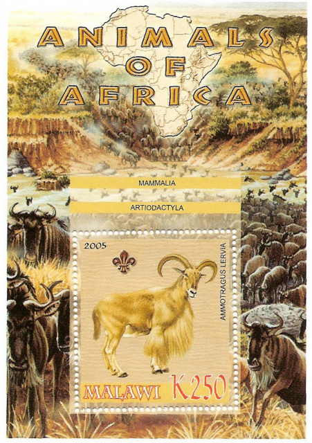 Animals of Africa - Barbary Sheep on Stamps M0983