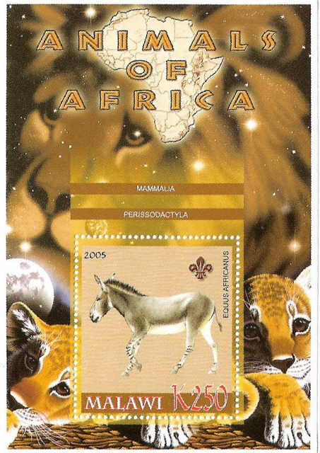 Animals of Africa - Dwarf Donkey on Stamps M0996