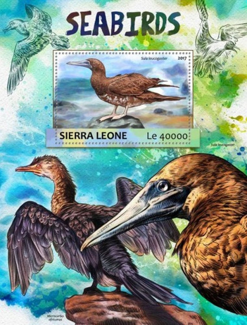 Sierra Leone - 2017 Sea Birds - Stamp Souvenir Sheet - SRL17310b