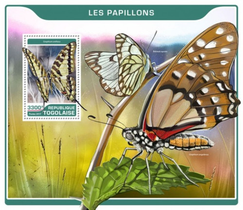 Togo - 2017 Butterflies on Stamps - Stamp Souvenir Sheet - TG17220b