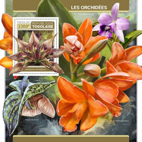 Togo - 2017 Orchids on Stamps - Stamp Souvenir Sheet - TG17302b