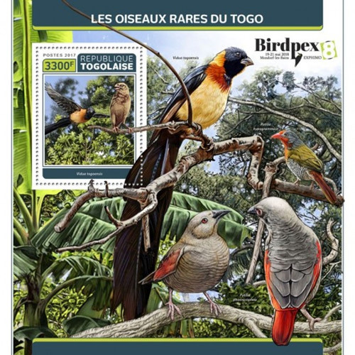 Togo - 2017 Rare Birds of Togo - Stamp Souvenir Sheet - TG17311b