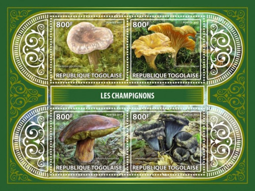 Togo - 2017 Mushrooms on Stamps - 4 Stamp Sheet - TG17402a