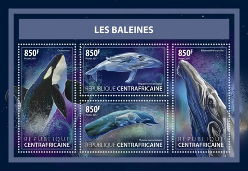 Central Africa - 2017 Whales - 4 Stamp Sheet - CA17608a