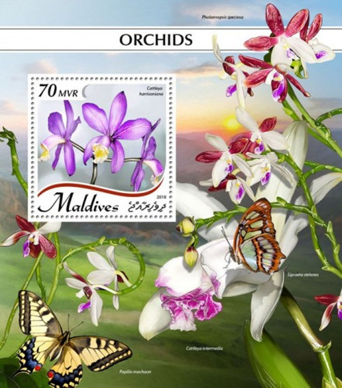 Maldives - 2018 Orchids on Stamps - Stamp Souvenir Sheet - MLD18904b