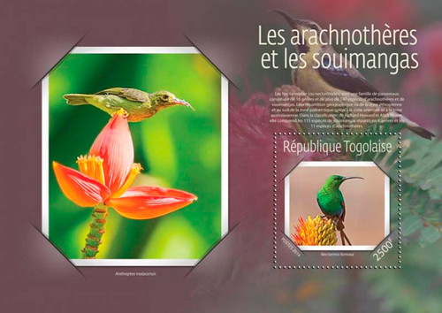 Togo 2014 Sunbirds and Spiderhunters  Stamp Souvenir Sheet 20H-1068