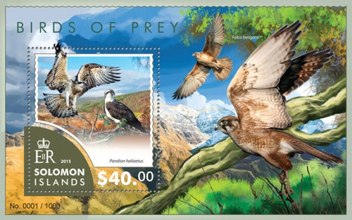 Withdrew 02-28-19-Solomon Islands - 2015 Birds of Prey - Stamp Souvenir Sheet - 19M-838