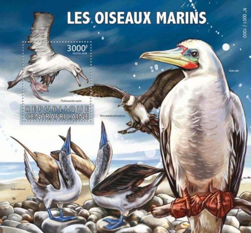 Central Africa - 2015 Water Birds - Stamp Souvenir Sheet - CA15613b
