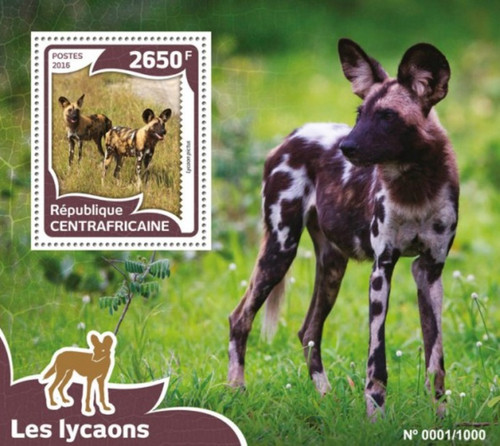 Central Africa 2016 African Wild Dogs Stamp Sheet Michel 6014 CA16014b