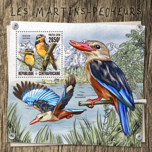 Central Africa - 2016 Kingfishers - Stamp Souvenir Sheet - CA16814b