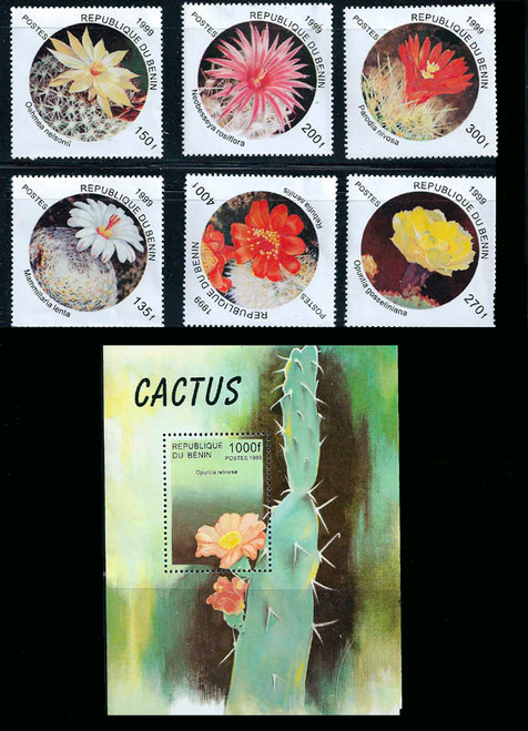 Benin 1999 Desert Cactus Succulent Plants 6 Stamp Set + S/S  2B-261