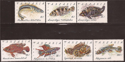 Tanzania - 1992 Fish of Tanzania - 7 Stamp Set - 20E-071 #816-22