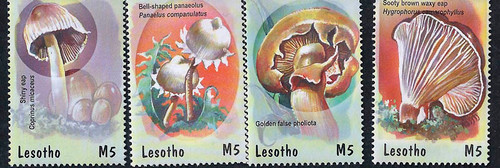 Lesotho - 2001 Mushrooms on Stamps 4 Stamp Set  12E-027