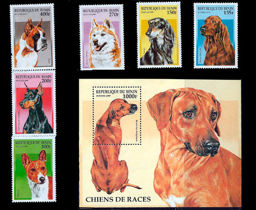 Benin 1997 Domestic Dog Breeds  6 Stamp Set + S/S  2B-262