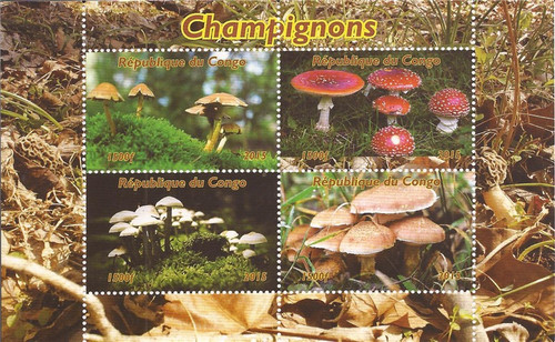 Congo - 2015 Mushrooms on Stamps - 4 Stamp Sheet - 3A-505