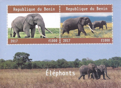Benin - 2017 Elephants - 2 Stamp Souvenir Sheet - 2B-317