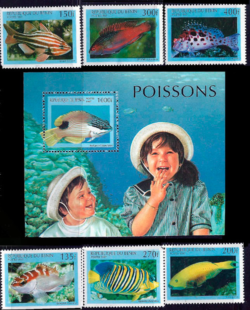 Benin 1997 Tropical Aquarium Fish  6 Stamp Set + S/S  2B-263