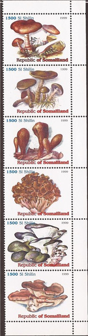 Withdrew 02-24-19-1999 Mushrooms on Stamps - Strip of 6 Stamps - 19B-190