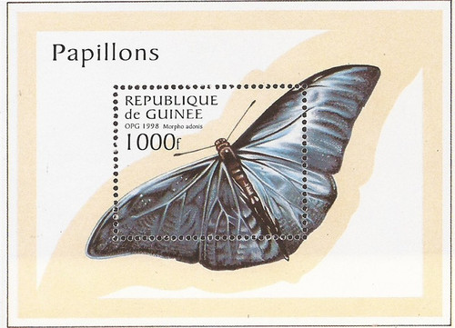 Guinea - 1997 Adonis Morpho Butterflies - Souvenir Sheet #1430 