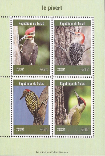 Chad - 2019 Woodpecker Bird on Stamps - 4 Stamp Sheet - 3B-665