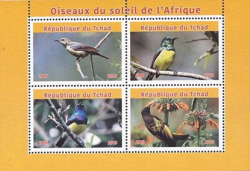 Chad - 2019 Sunbirds of Africa - 4 Stamp Sheet - 3B-734