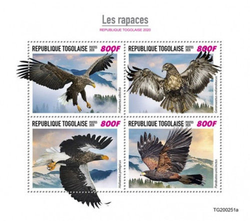 Togo - 2020 Birds of Prey, Sea Eagle, Harris's Hawk - 4 Stamp Sheet - TG200251a