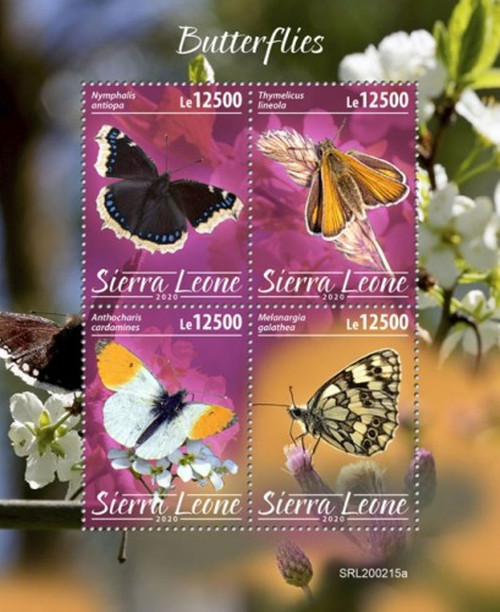 Sierra Leone - 2020 Butterflies, Mourning Cloak - 4 Stamp Sheet - SRL200215a