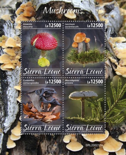 Sierra Leone - 2020 Mushrooms, Fly Agaric, Parasol - 4 Stamp Sheet - SRL200212a