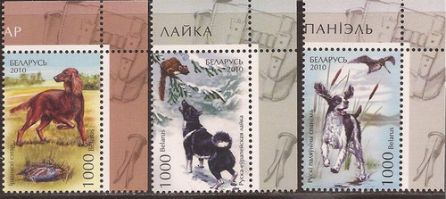 Belarus - 2010 Spaniel Setter & Laika Dogs - 3 Stamp Set - Scott  #750-2