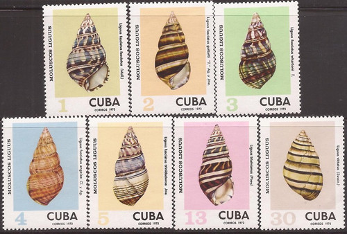 Cuba - 1973 Seashells, Liguus Tree Snail - 7 Stamp Set - Scott #1843-7