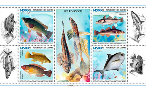 Guinea - 2023 Fishes, Ballan Wrasse, Haddock - 4 Stamp Sheet - GU230211a