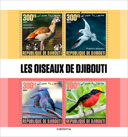 Djibouti - 2023 Birds of Djibouti, Mousebird, Gonolek - 4 Stamp Sheet DJB230213a