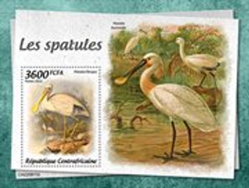 Central Africa - 2022 Spoonbill Birds - Stamp Souvenir Sheet - CA220811b Central Africa - 2022 Spoonbill Birds - Stamp Souvenir Sheet - CA220811b