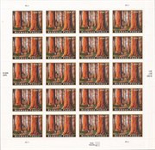 US Stamp - 2009 $4.95 Redwood Forest, Priority Mail - 20 Stamp Sheet Scott #4378