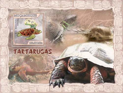 Mozambique - Turtles Mint Stamp Souvenir Sheet 13A-067