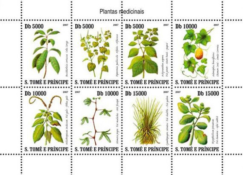 St Thomas - 2008 - Medicinal Plants - 8 Stamp Mint Sheet - ST7413